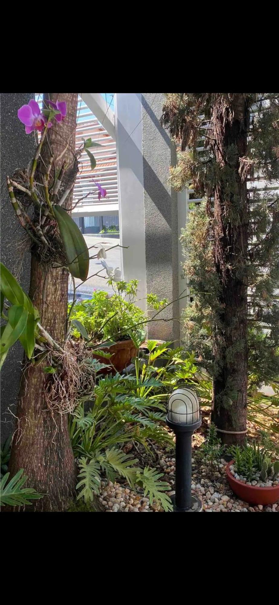 Casa de férias Silvanas House Olímpia